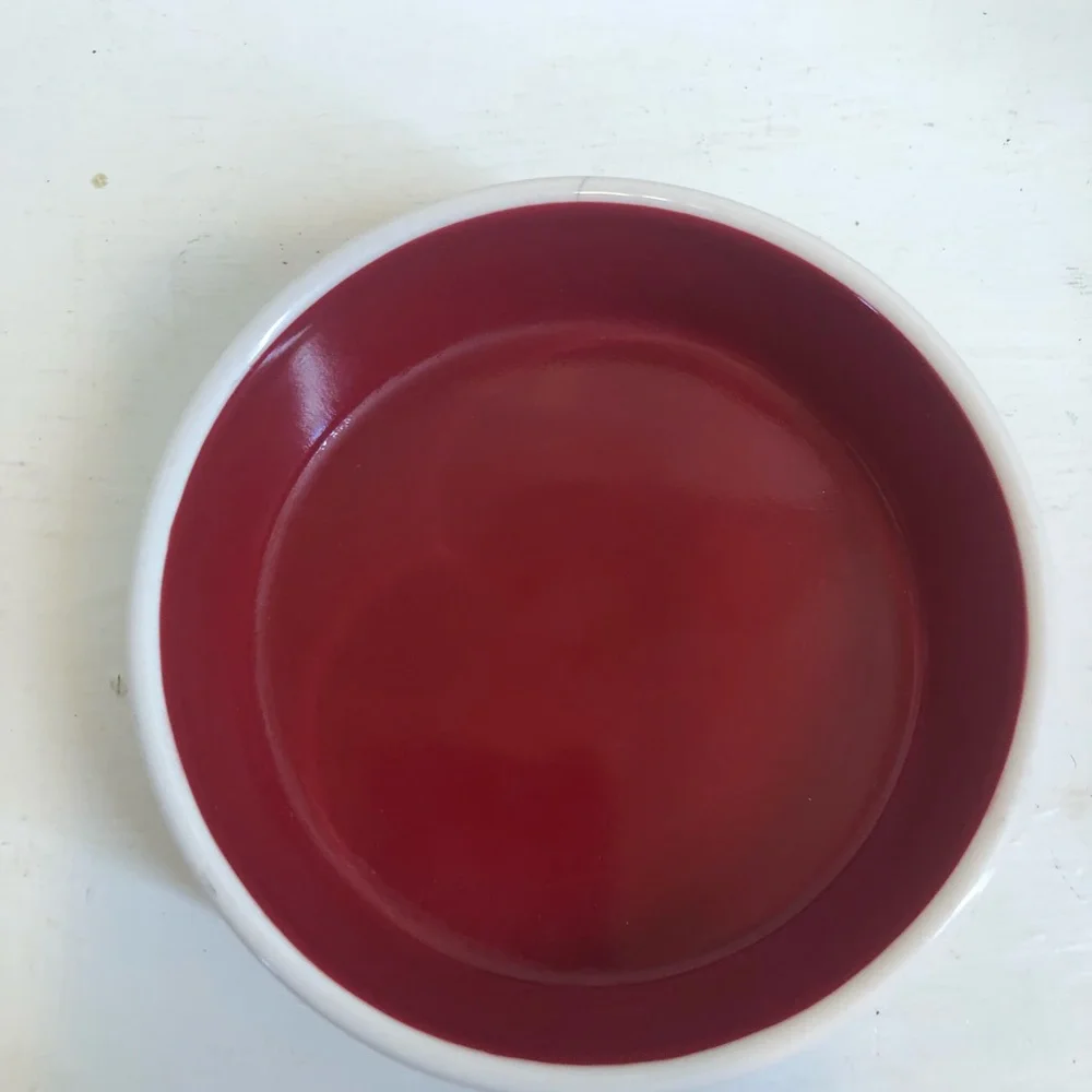 Rae Dunn DRINK By Magenta Dog /Cat Pet Bowl Small Artisan Collection